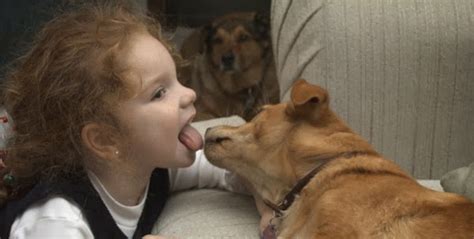 nude girl with dog|French girl and dog